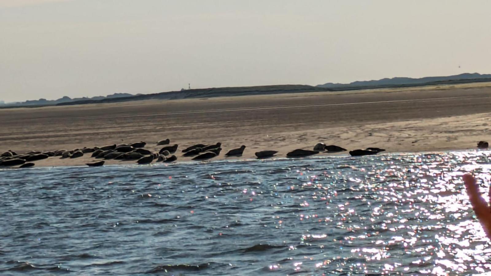 Drei-Insel-Blick Nessmersiel Luaran gambar