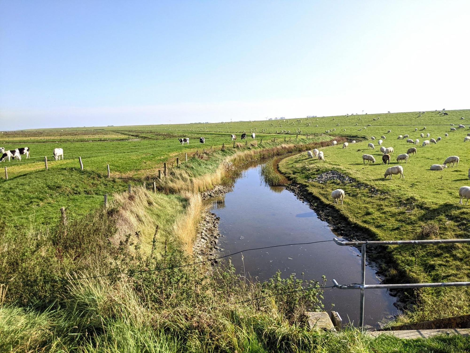 Drei-Insel-Blick Nessmersiel Luaran gambar