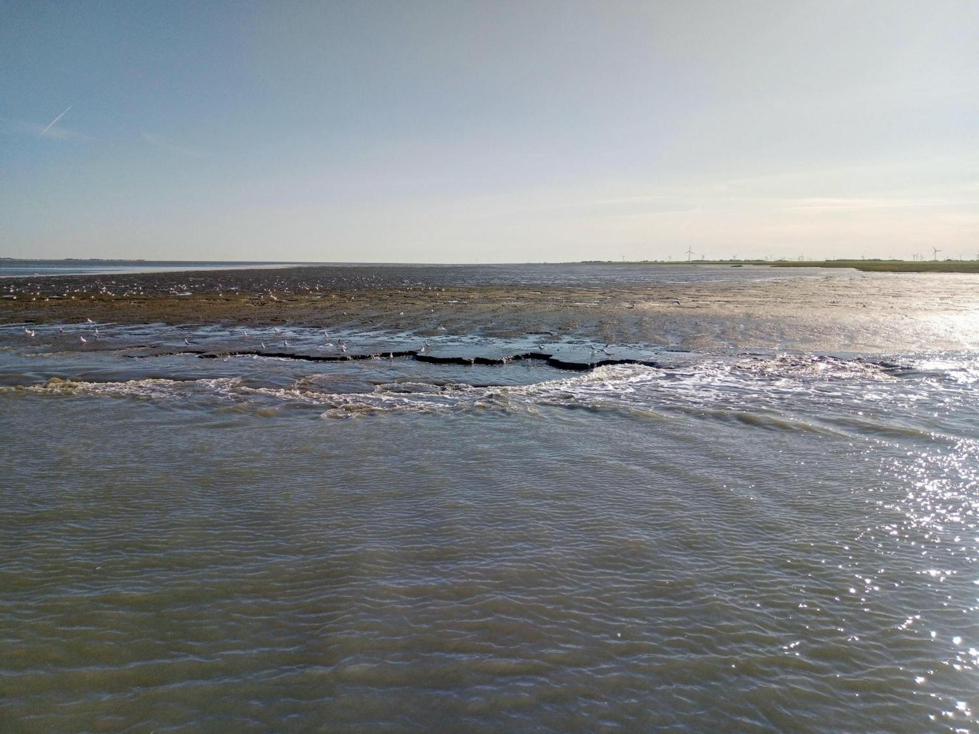 Drei-Insel-Blick Nessmersiel Luaran gambar