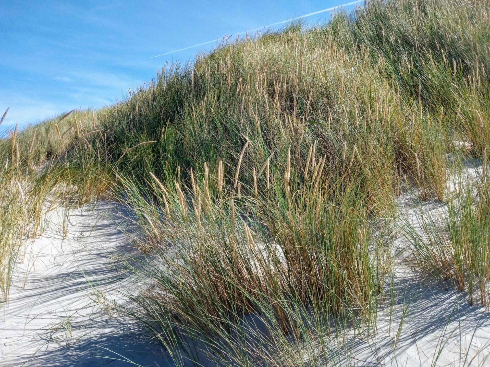 Drei-Insel-Blick Nessmersiel Luaran gambar